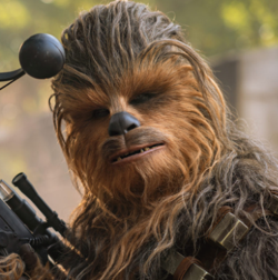 Chewbacca
