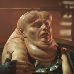 Bib Fortuna