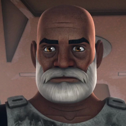 Rex